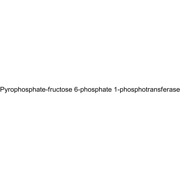 Pyrophosphate-fructose 6-phosphate 1-phosphotransferase (PFP1) 55326-40-4